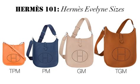 hermes evelyne sizes in inches|hermes evelyne colors.